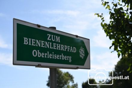 Zum Bienenlehrpfad