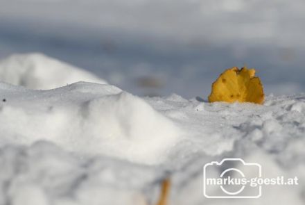 Winter_Schneedecke