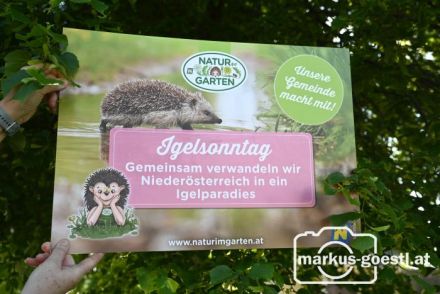 Natur im Garten Igelsonntag