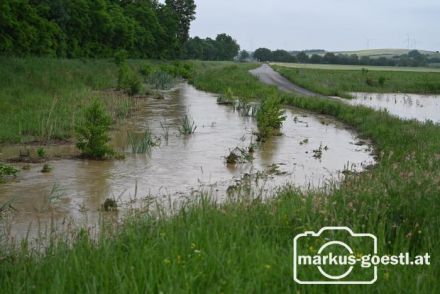 Zayabecken Hüttendorf