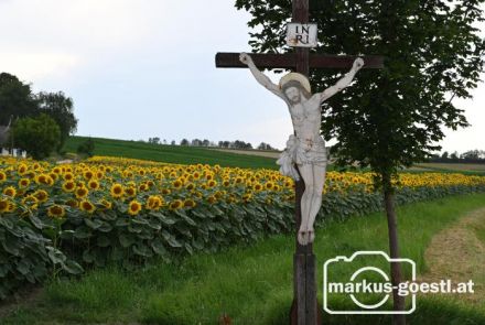 Kreuz Martinsdorf