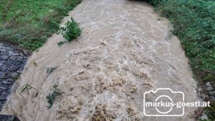 Rückhaltebecken Wenzersdorf