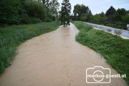 Pegelstand Zaya Wenzersdorf