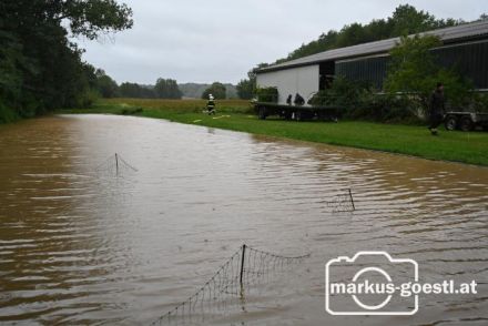 Einsatz FF-Gnadendorf