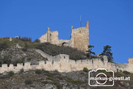 Ruine Staatz