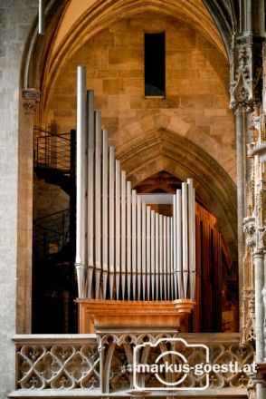 Orgel im Stephansdom