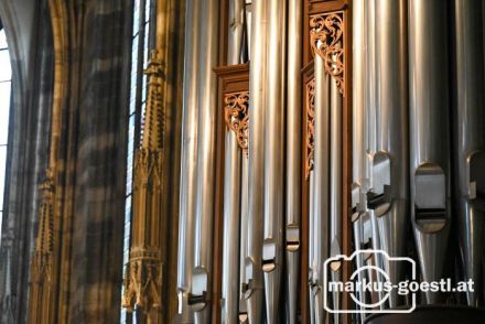 Orgel im Stephansdom