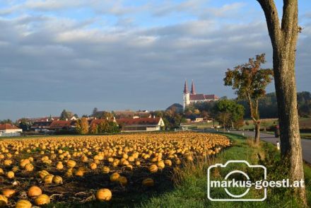 Wullersdorf