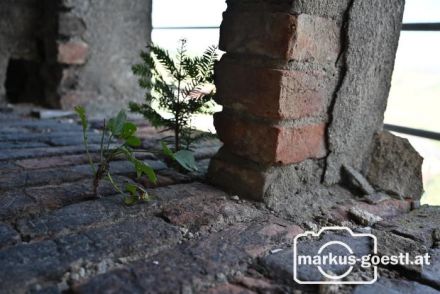 Sanierung Kirche Michelstetten