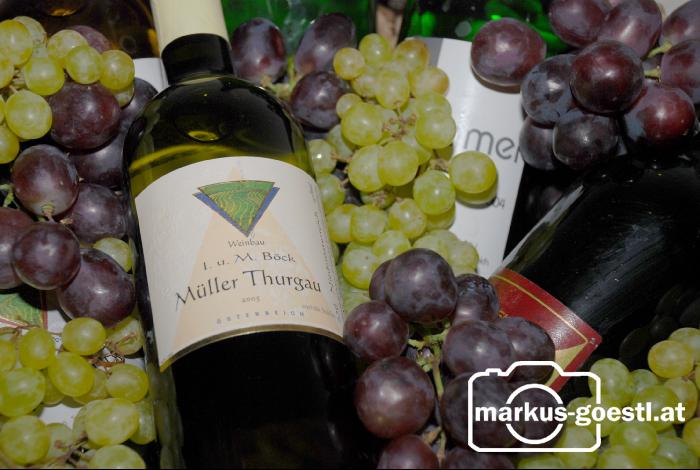 Wein_Weintrauben