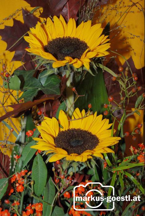 Sonnenblumendeko2