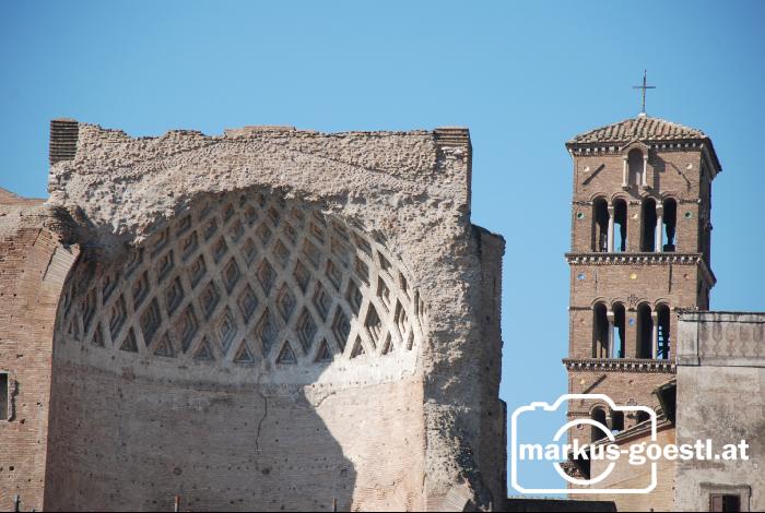 Forum_Romanum16