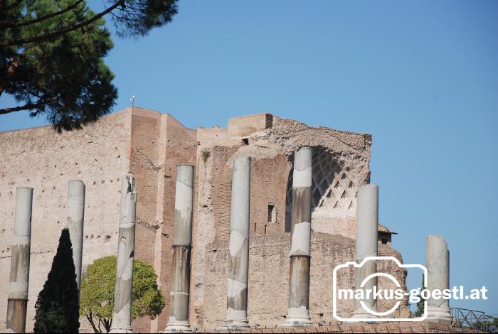 Forum_Romanum15