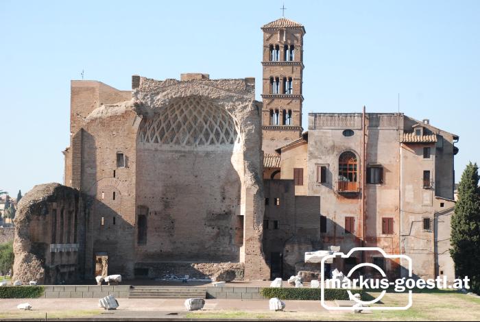 Forum_Romanum14
