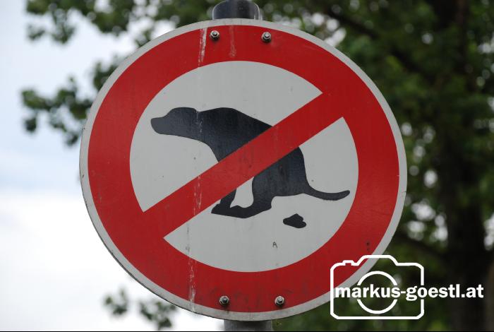 Hundekot_Verbot