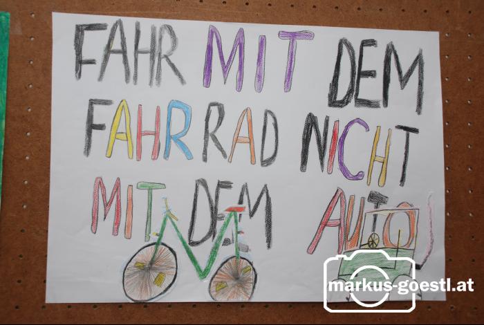 Ökostaffel_2008_32