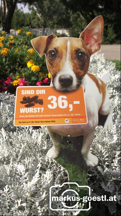 Schild_Hundekot3