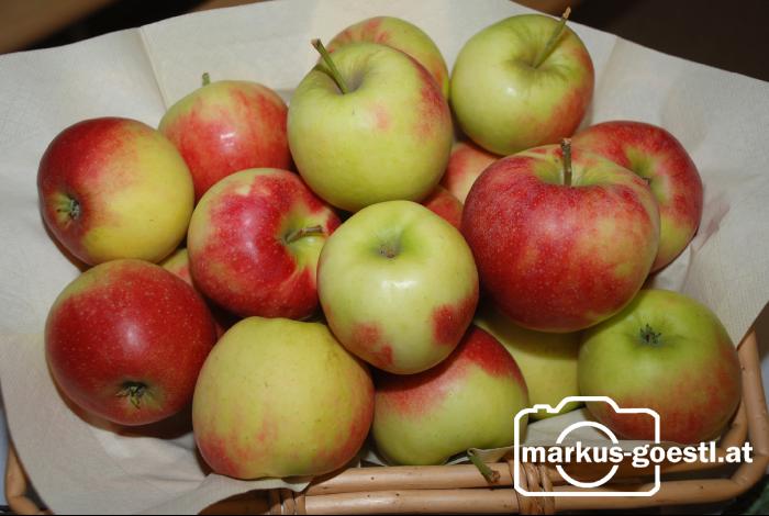 Äpfel1