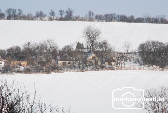 Keller_Winter