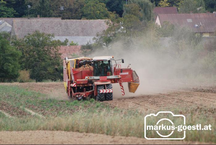 Kartoffelroden_Grimme6
