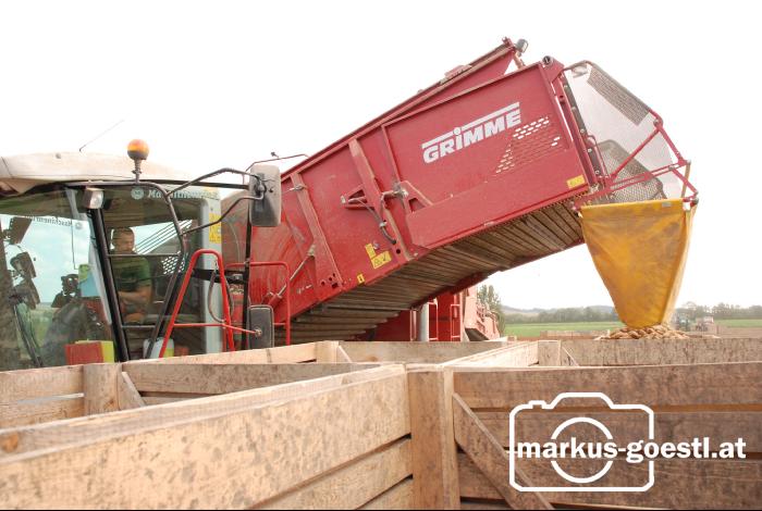 Kartoffelroden_Grimme1