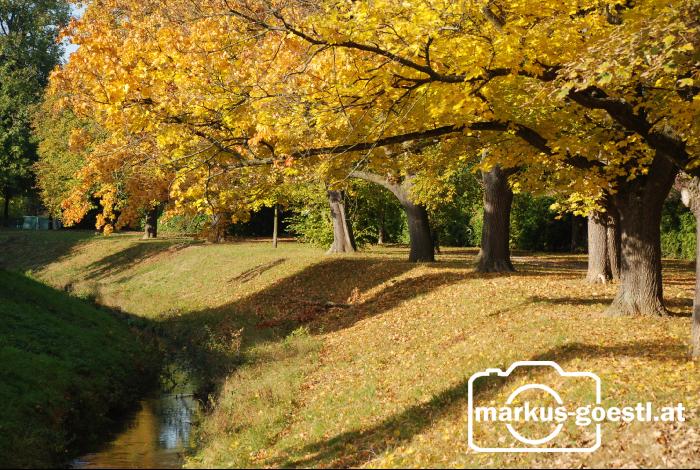 Herbststimmung7