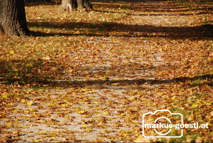 Herbststimmung2