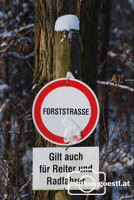 Forststraße3