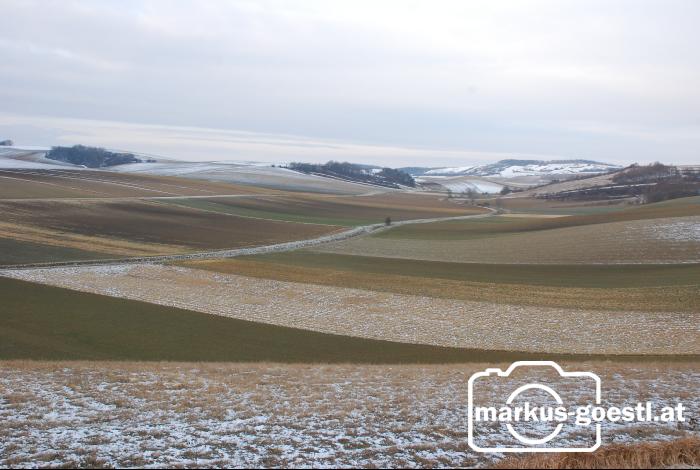 Winterlandschaft