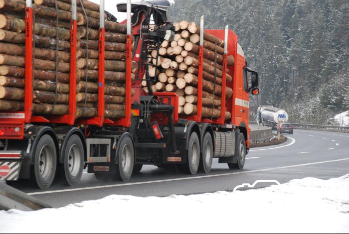 Holztransport_Straße