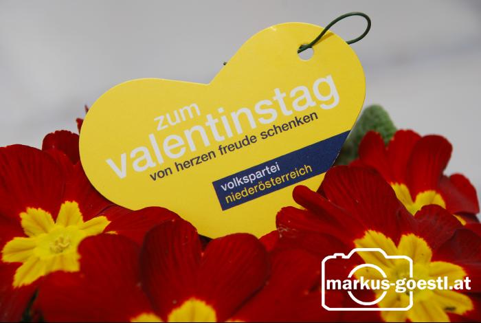 VP_Valentinstag5