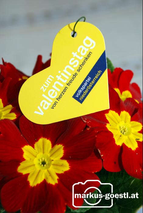 VP_Valentinstag3