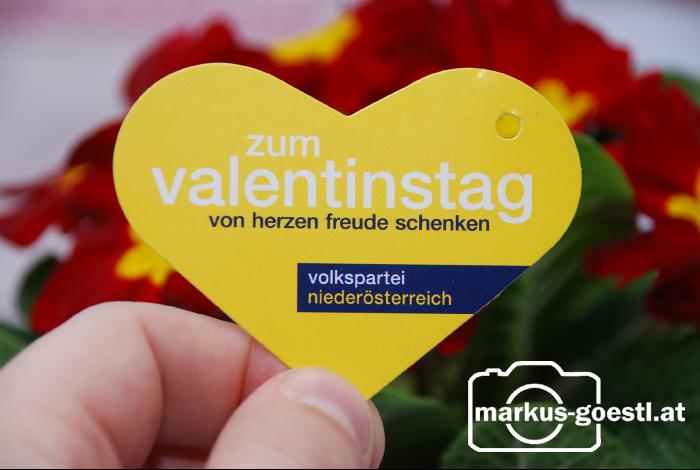 VP_Valentinstag1