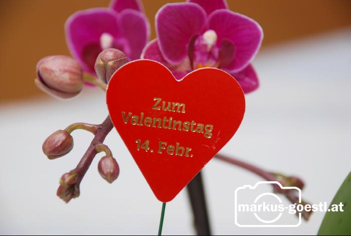 Schild_Valentinstag3