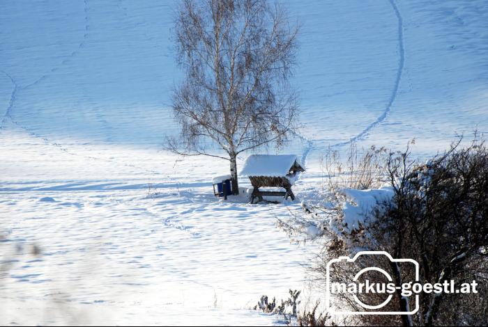 Futterkrippe_Winter