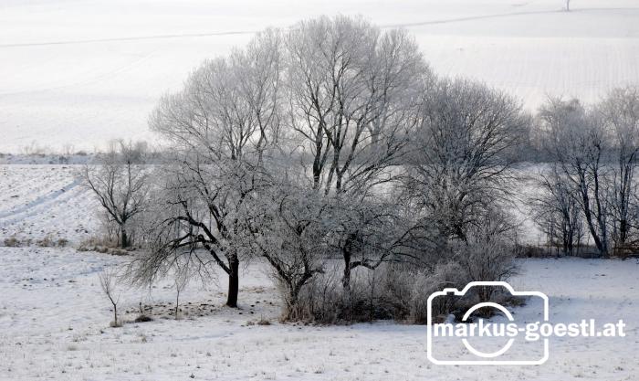 Winterlandschaft