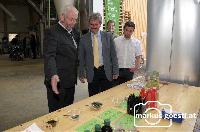 Eröffnung Kürbishalle2