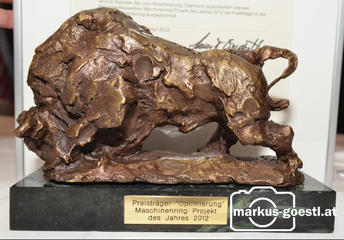 Projektpreis MR-Bulle