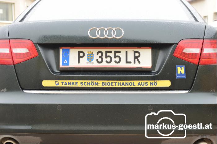 Pernkopf Gaubitsch16