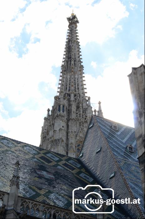 Stephansdom9
