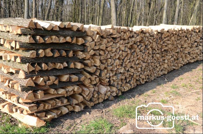 Holzscheiter4