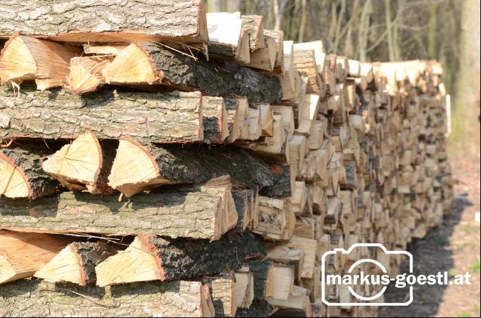 Holzscheiter3