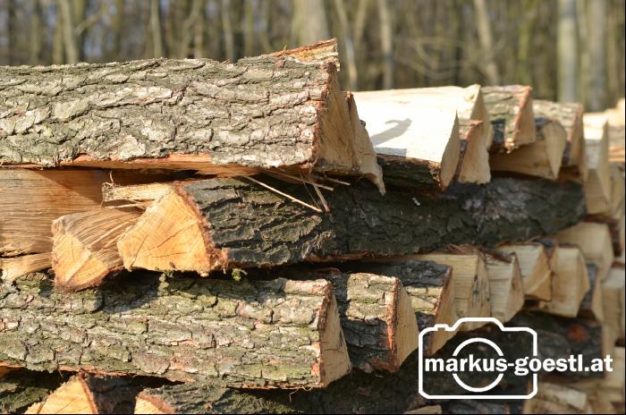 Holzscheiter1