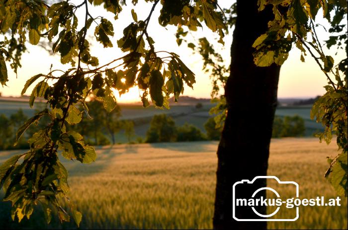 Sonnenuntergang2