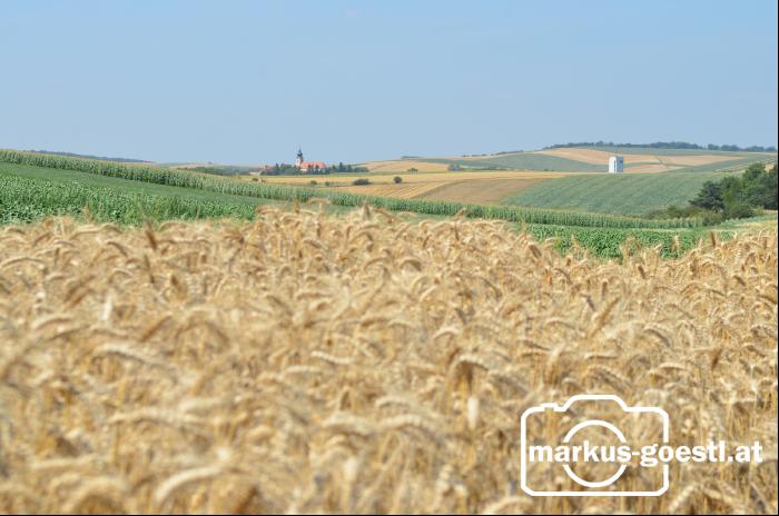Weinviertel