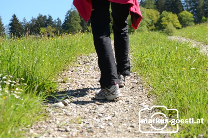 Wandern-Pilgern