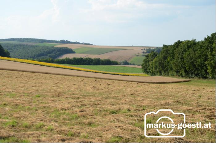 Weinviertel