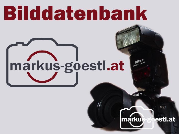 Bilddatenbank Neu