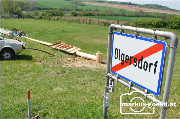 Maibaum Olgersdorf