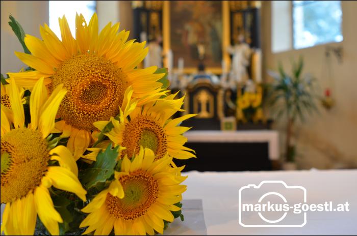 Sonnenblumen_Altarraum